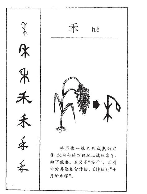 禾部首的名字|部首为“禾部”的字